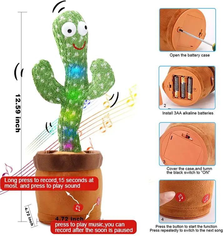 catus 6.webp