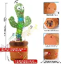 catus 6.webp