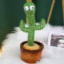 cactus 1.webp